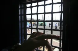 Свобода после месяцев пыток